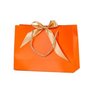 Birthday Christmas Gift Paper Bag