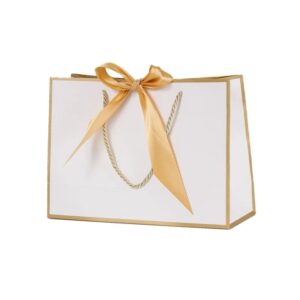 Birthday Christmas Gift Paper Bag