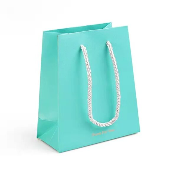 Gift Bag With Handle