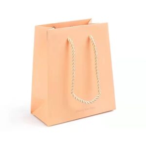 Gift Bag With Handle