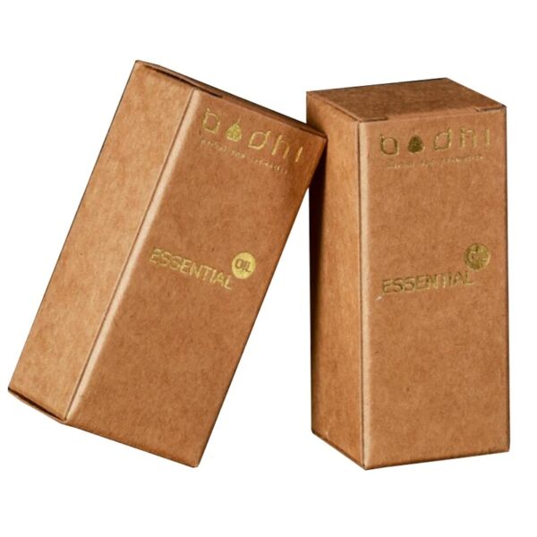 Lip Gloss Cosmetic Box Packaging