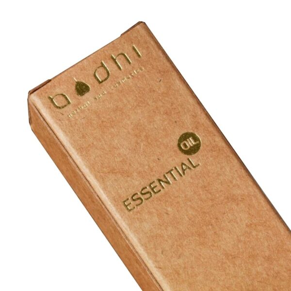Lip Gloss Cosmetic Box Packaging