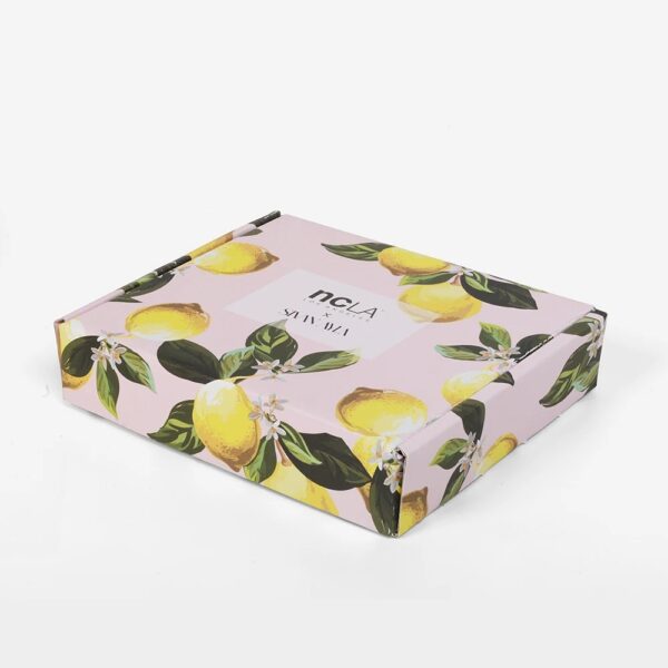 Shipping Apparel Dress Underwear Shirt Mailer Box