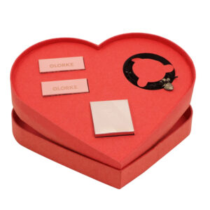 Valentine's Day Heart Gift Box